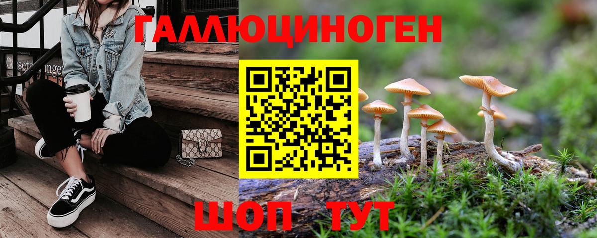 Галлюциногенные грибы ЛСД Кохма